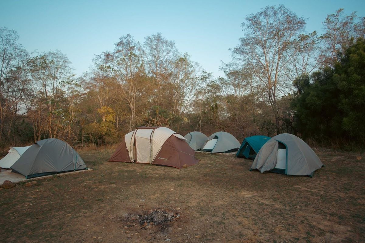Mole National Park rolls out activities for Easter holidays